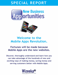 New Business Apportunities 